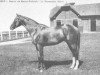stallion Gris Perle xx (Thoroughbred, 1929, from Brabant xx)