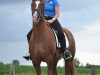 dressage horse Lars (Hanoverian, 2007, from Laureano)