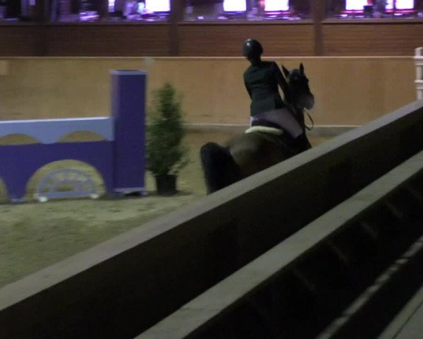 Reitturnier Mannheim-Neckarau 2018