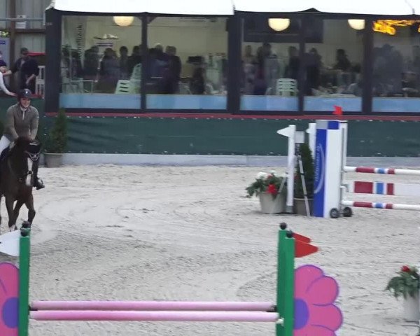 Hallenspringen Oberriet 2018