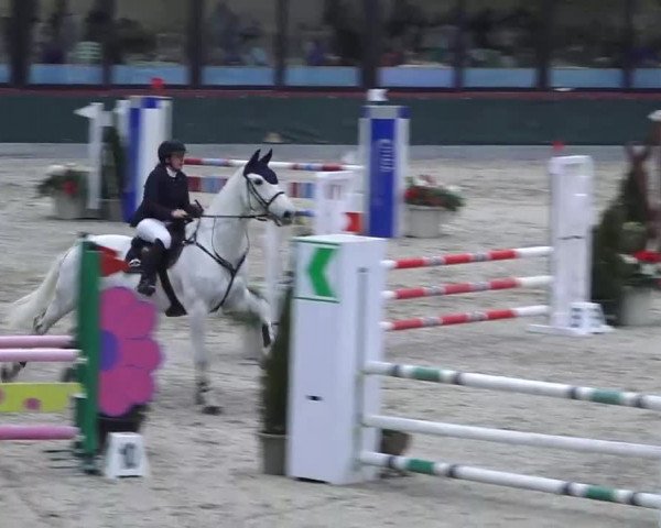 Hallenspringen Oberriet 2018