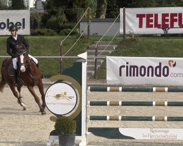Reitturnier Durmersheim-Hardt 2021
