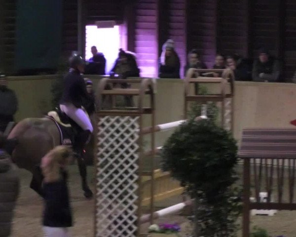 Reitturnier Mannheim-Neckarau 2018