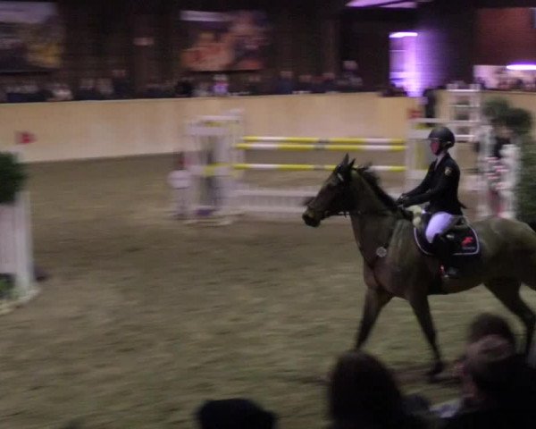 Reitturnier Mannheim-Neckarau 2018