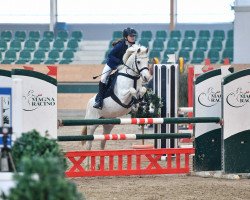 jumper Pascherwinkel Wero (German Riding Pony, 2004, from Wengelo's Nelson)