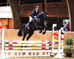 dressage horse Luke Skywalker 68 (Hanoverian, 2009, from Lord Pezi)