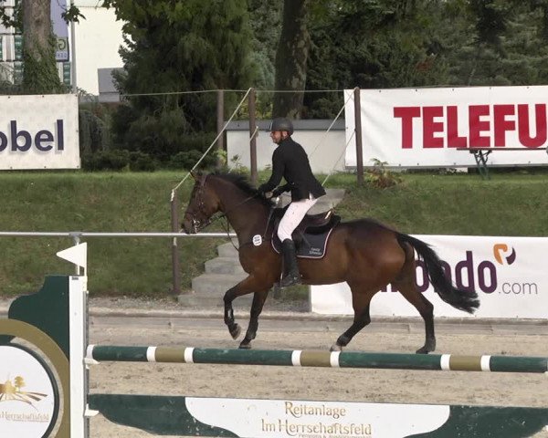 Reitturnier Durmersheim-Hardt 2021