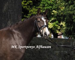 broodmare Claire de Lune 25 (German Riding Pony, 2011, from FS Chambertin)