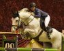 stallion Freestyle 39 (Holsteiner, 2005, from For Pleasure)