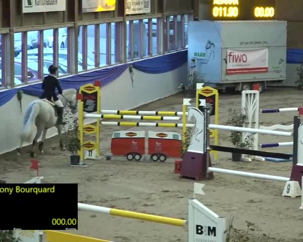 15. Hallenconcours Sulgen 2018