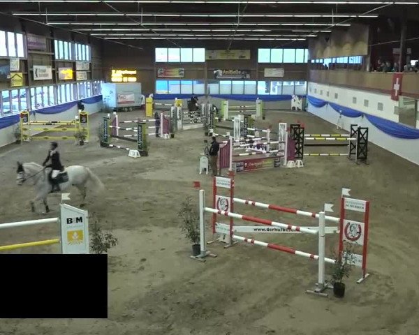 15. Hallenconcours Sulgen 2018