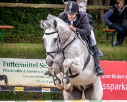 Springpferd Crispin Cornet (Deutsches Sportpferd, 2003, von Cornet Obolensky)