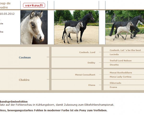Dressurpferd Coup de foudre 4 (Deutsches Reitpony, 2012, von Coolmen)