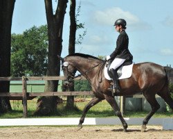 dressage horse She's A Girl (Hannoveraner, 2009, from Silberschmied)