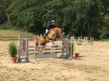 jumper Rubicon (German Sport Horse, 2008, from Royaldik)