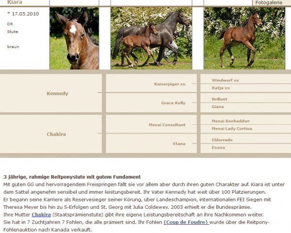 jumper Kiara (German Riding Pony, 2010, from Kennedy WE)