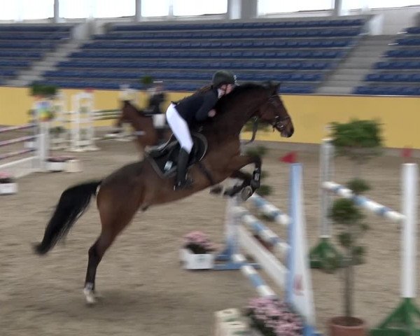 Reitturnier Prussendorf 2018