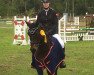 jumper Monty (German Riding Pony, 2005, from Martini)