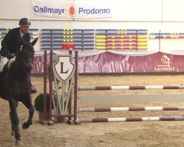 Reitturnier Eicherloh 2018