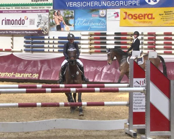 Reitturnier Eicherloh 2018