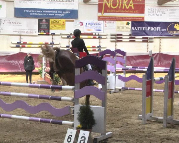 Reitturnier Eicherloh 2018