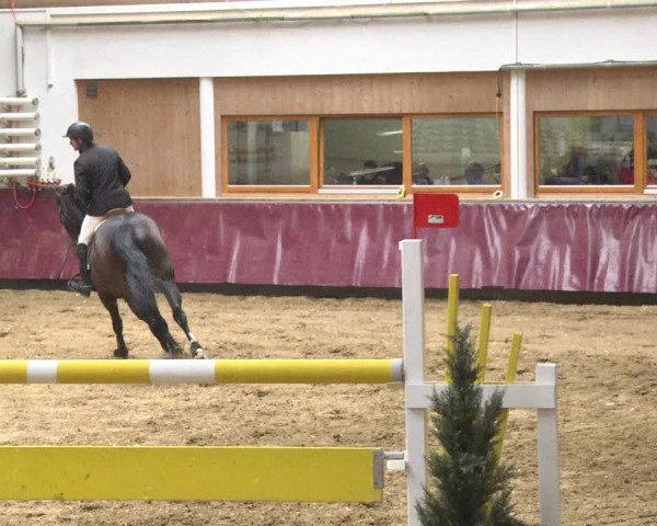 Reitturnier Eicherloh 2018