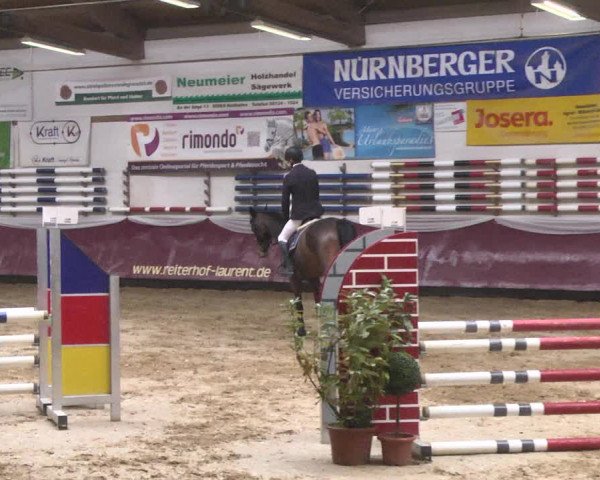 Reitturnier Eicherloh 2018