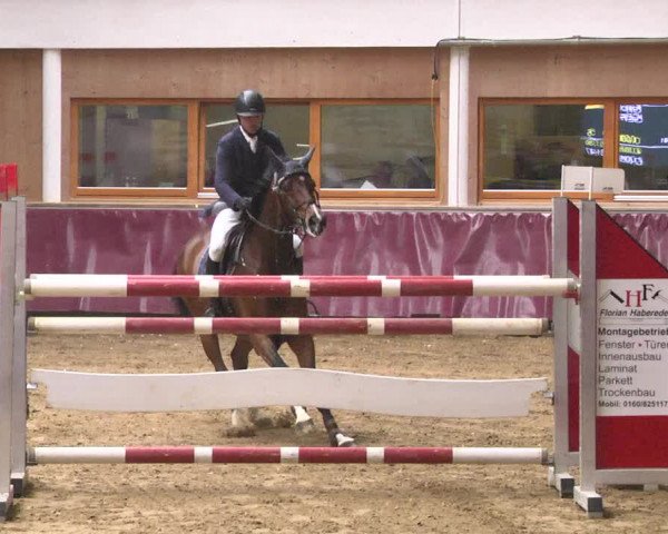 Reitturnier Eicherloh 2018