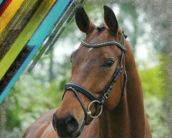 dressage horse Flosiety (Westphalian, 2011, from Florentinus V 219 FIN)