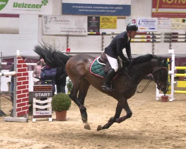 Reitturnier Eicherloh 2018