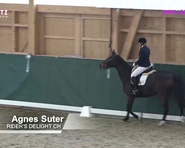 Horsepark Dressage Masters 2018