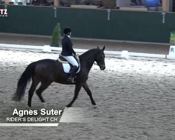 Horsepark Dressage Masters 2018