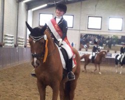 dressage horse Fabijano (Rhinelander, 2007, from First Final)