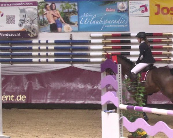 Reitturnier Eicherloh 2018