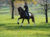 dressage horse Zapato 2 (Oldenburg, 2010, from Zack)