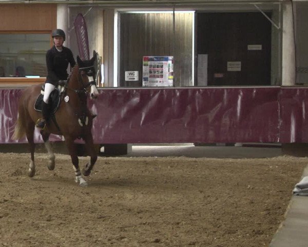 Reitturnier Eicherloh 2018