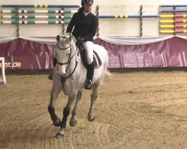 Reitturnier Eicherloh 2018