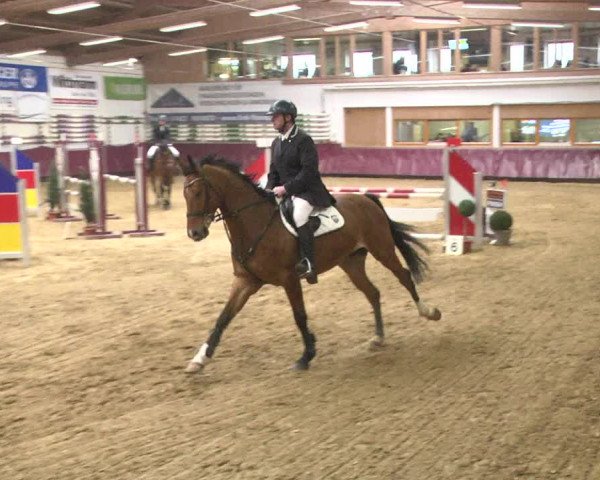 Reitturnier Eicherloh 2018