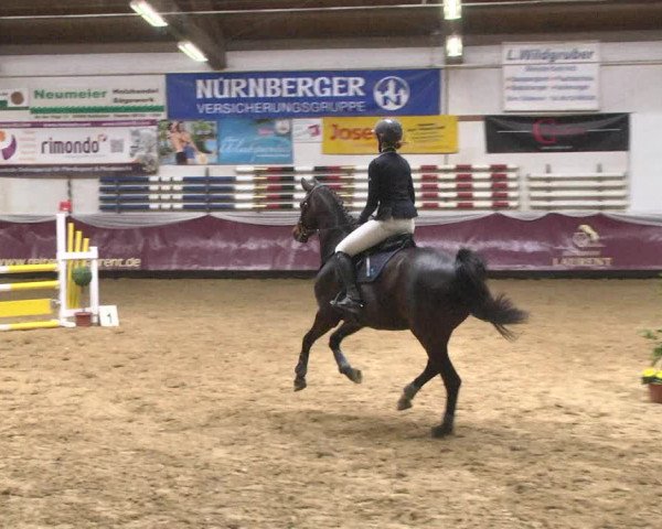 Reitturnier Eicherloh 2018