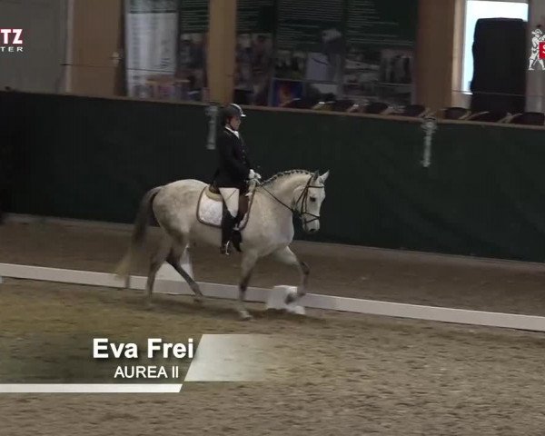 Horsepark Dressage Masters 2018