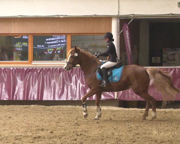 Reitturnier Eicherloh 2018