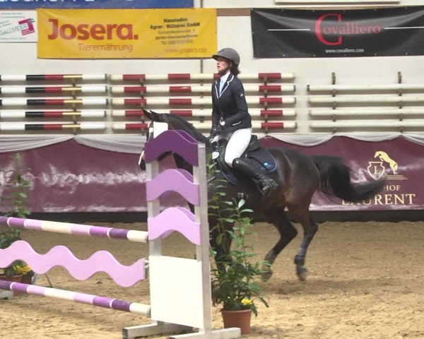 Reitturnier Eicherloh 2018