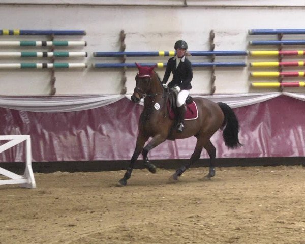Reitturnier Eicherloh 2018