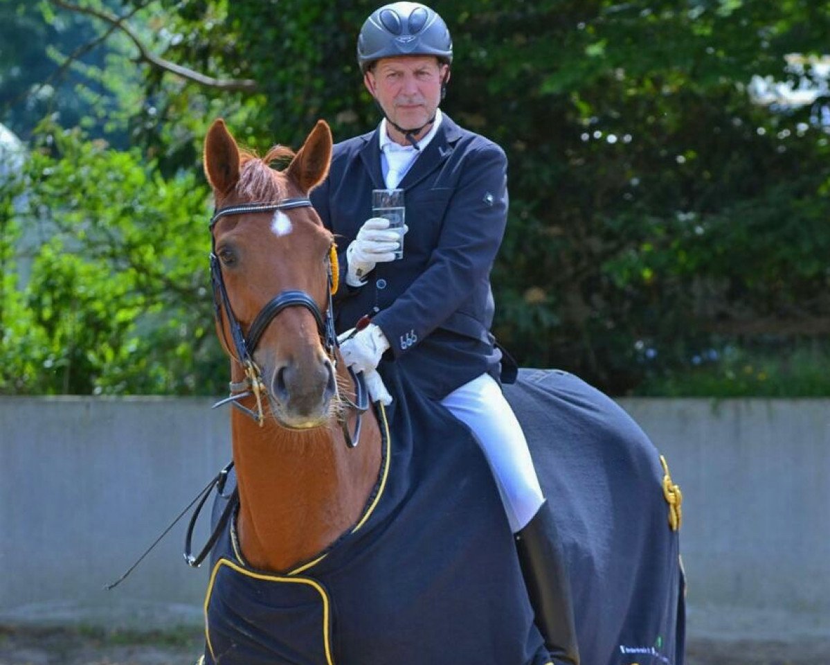 Dressurpferd Little Fly HP (Hannoveraner, 2008, von Laurentio)