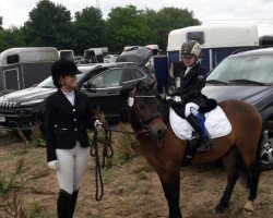 dressage horse Oak Tree Lucky Star (Dartmoor Pony, 2007, from Sherberton Baileys)