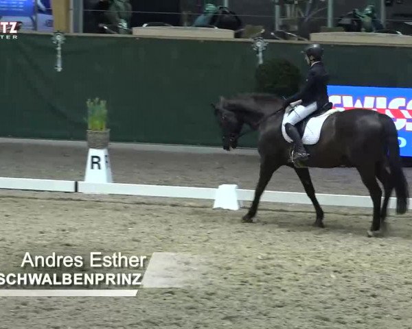 Horsepark Dressage Masters 2018