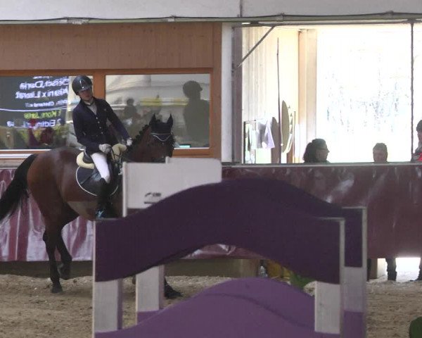 Reitturnier Eicherloh 2018