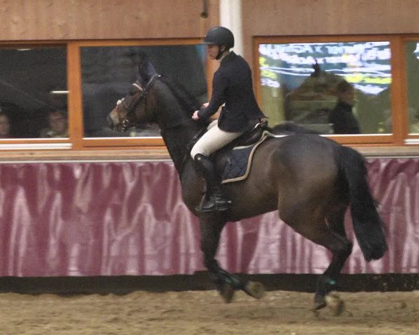 Reitturnier Eicherloh 2018
