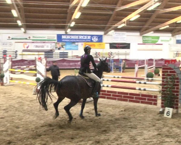 Reitturnier Eicherloh 2018