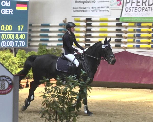 Reitturnier Eicherloh 2018